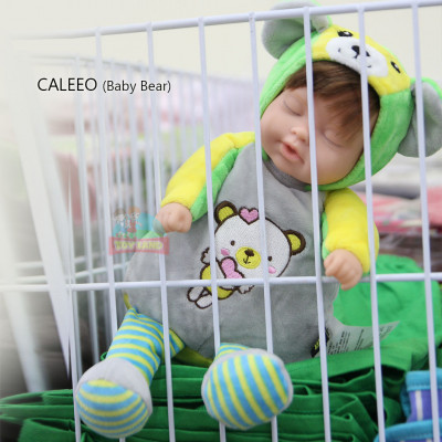 CALEEO : Baby Bear